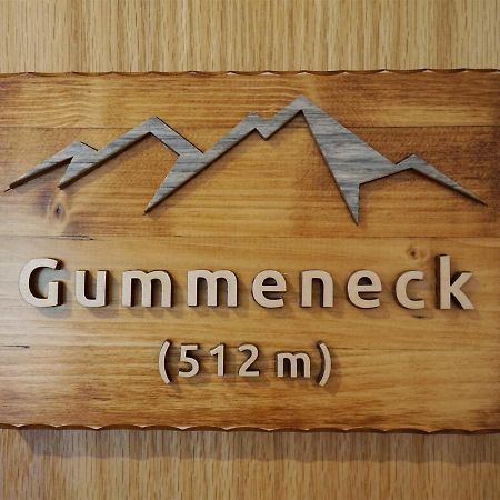 Gummeneck - Stubenhof, Black Forest Simonswald Ngoại thất bức ảnh